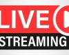 Concert Live Stream Platform